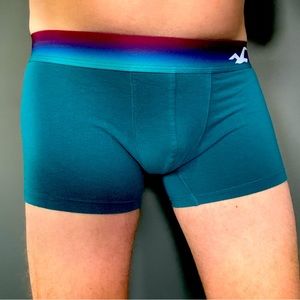 Hollister boxer briefs